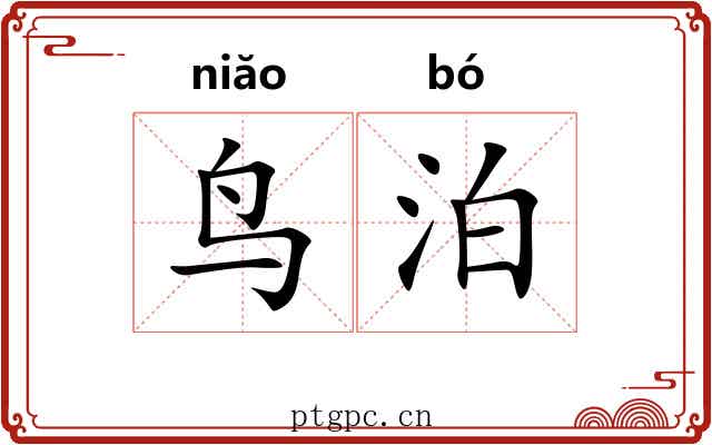 鸟泊