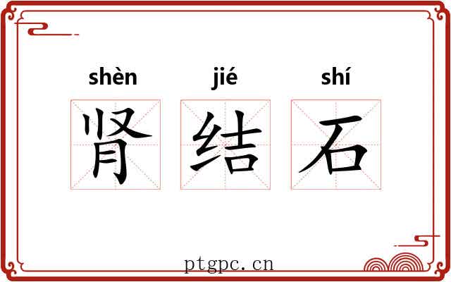 肾结石 肾结石