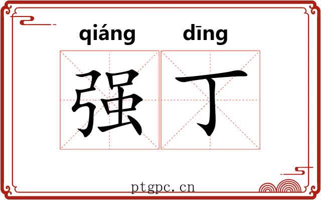 强丁