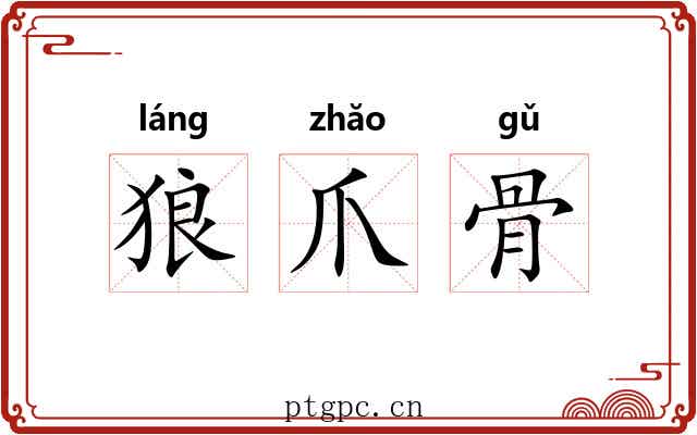 狼爪骨 狼爪骨