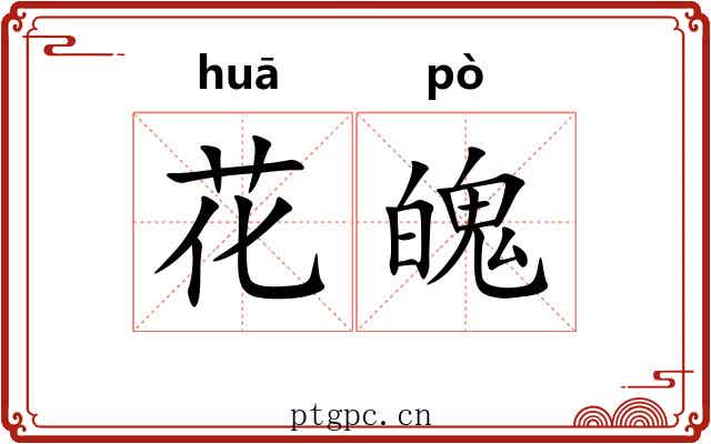 花魄 花魄