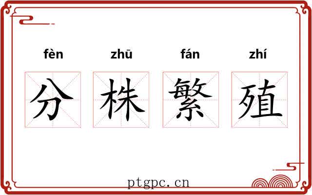 分株繁殖 分株繁殖