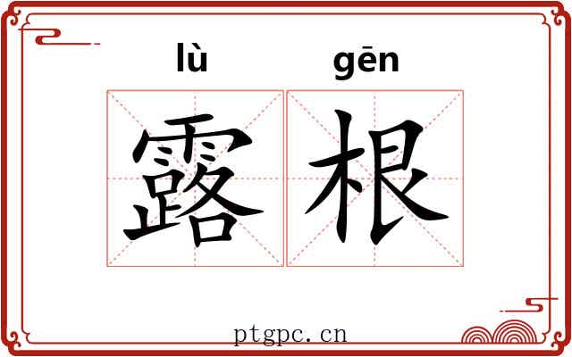 露根