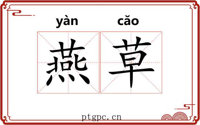 燕草 燕草