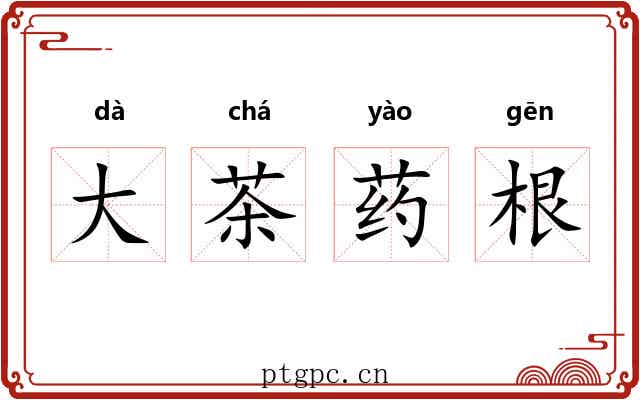 大茶药根 大茶药根