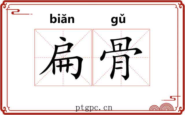 扁骨 扁骨