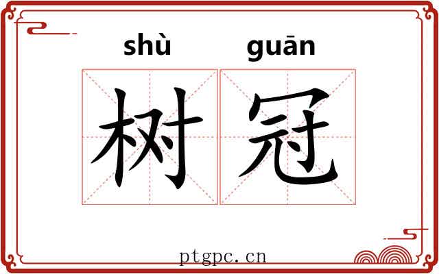 树冠