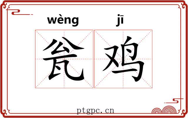 瓮鸡