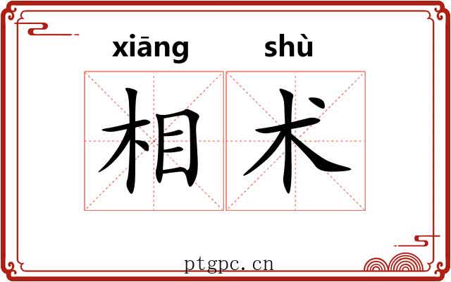 相术 相术