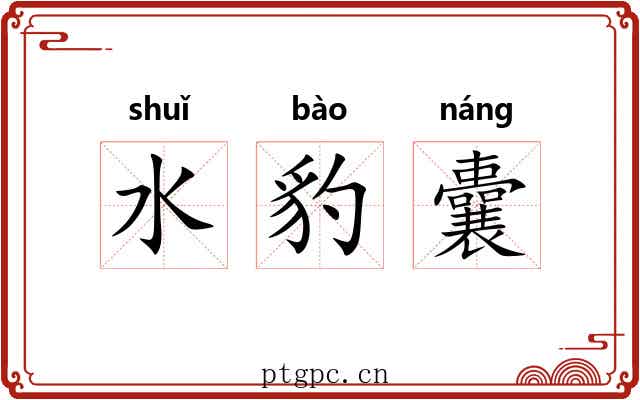水豹囊 水豹囊