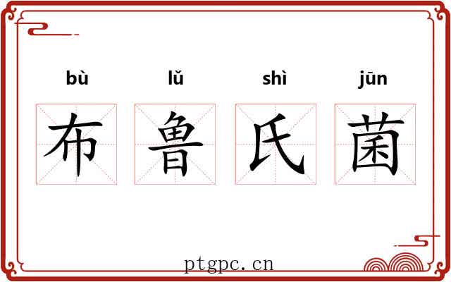 布鲁氏菌