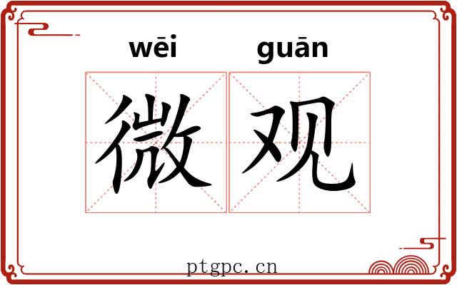 微观