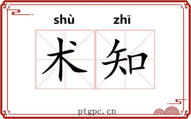 术知 术知
