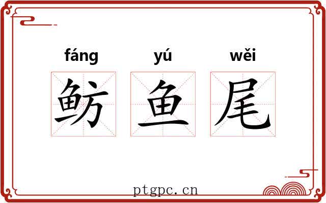 鲂鱼尾 鲂鱼尾