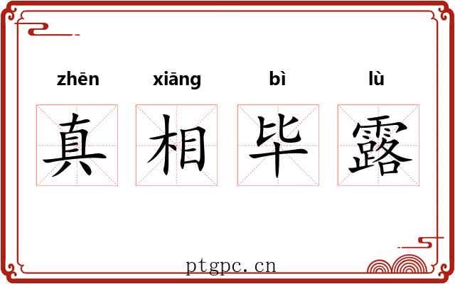真相毕露 真相毕露