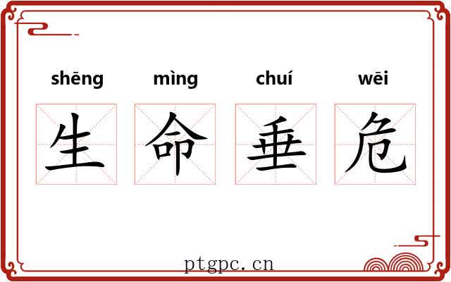 生命垂危 生命垂危
