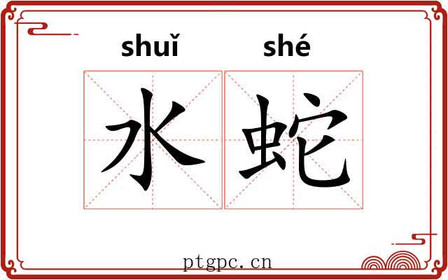 水蛇 水蛇