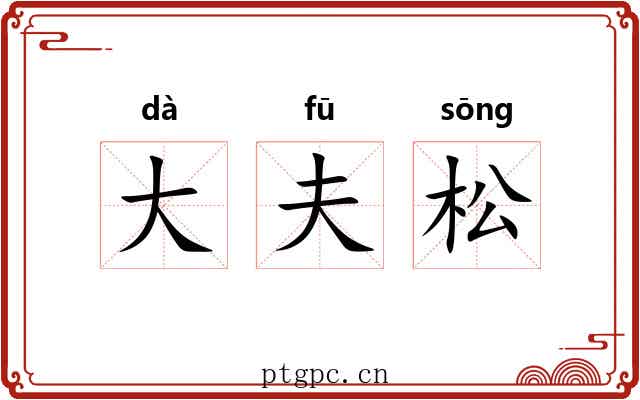 大夫松 大夫松