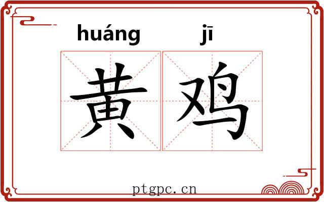 黄鸡