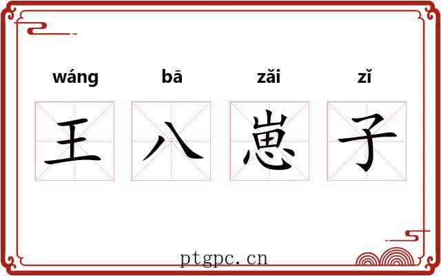 王八崽子 王八崽子