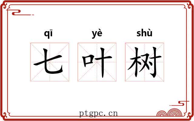 七叶树 七叶树