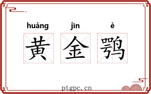 黄金鹗 黄金鹗