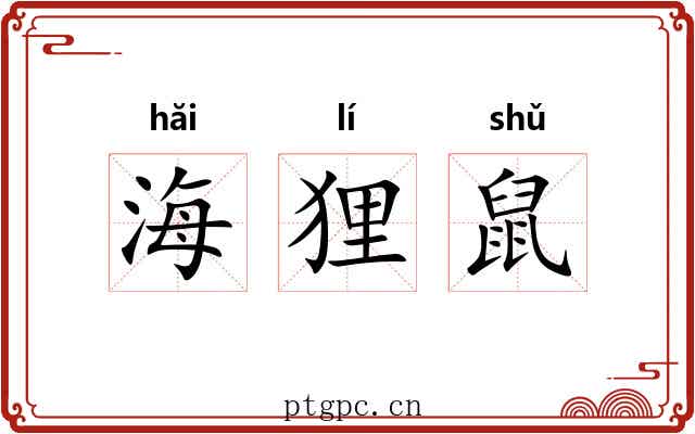 海狸鼠