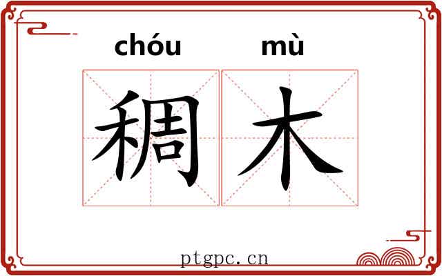 稠木