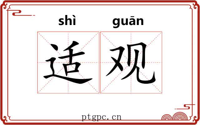 适观 适观