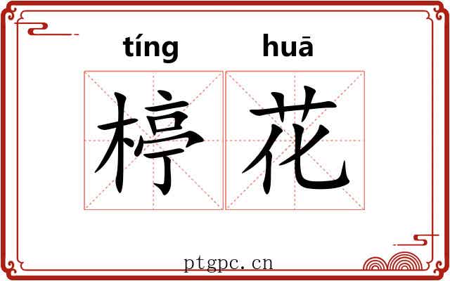 楟花