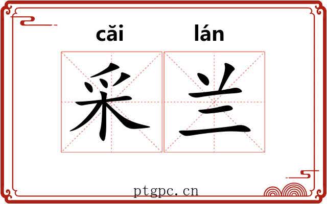 采兰 采兰