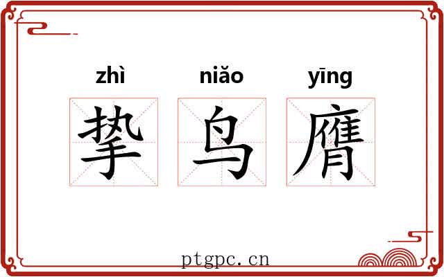 挚鸟膺
