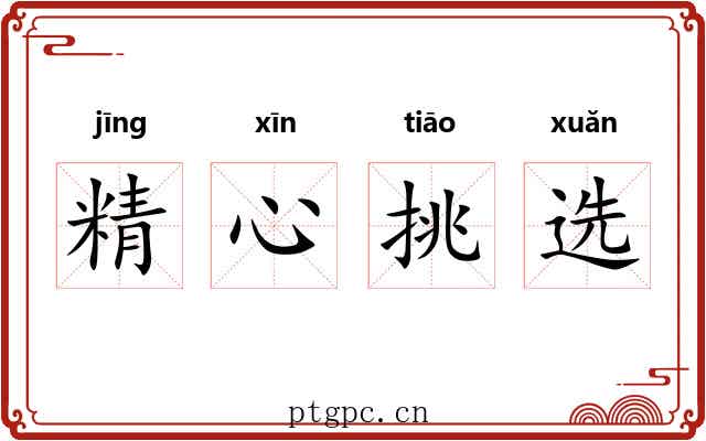 精心挑选