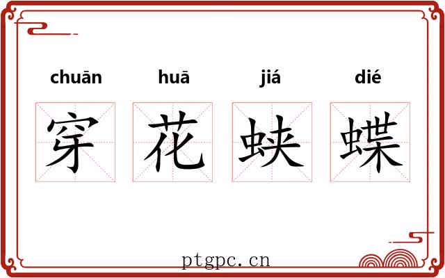 穿花蛱蝶 穿花蛱蝶