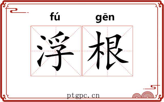 浮根 浮根