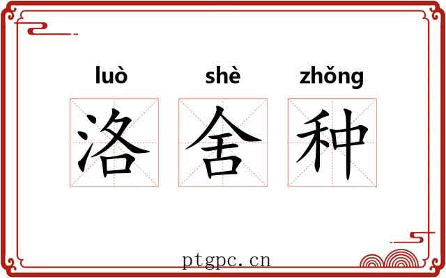 洛舍种 洛舍种