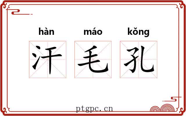 汗毛孔 汗毛孔
