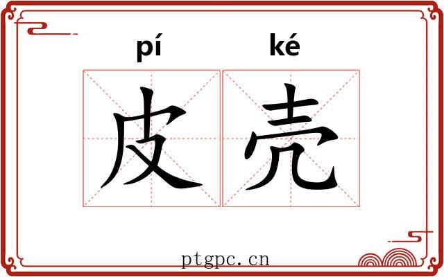 皮壳