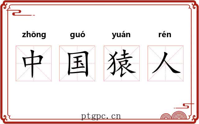 中国猿人 中国猿人