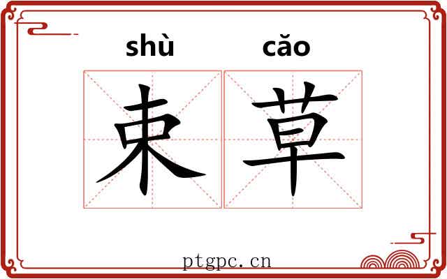 束草 束草