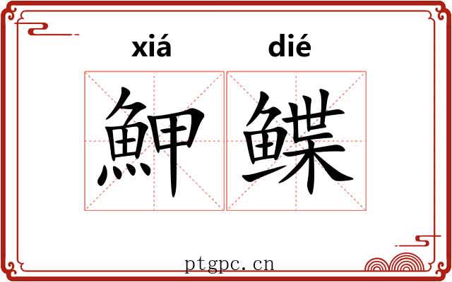 魻鲽