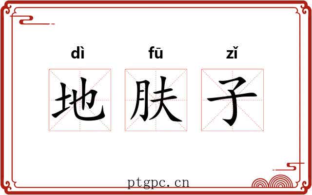 地肤子 地肤子