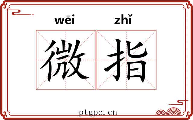 微指 微指