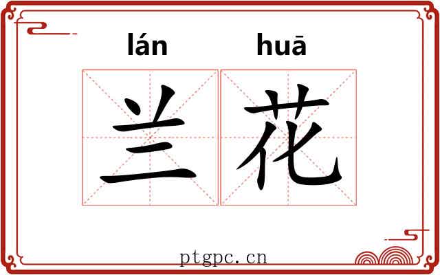 兰花 兰花