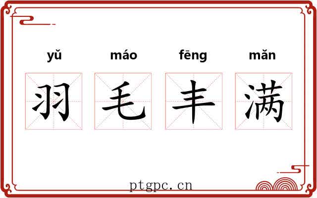 羽毛丰满 羽毛丰满
