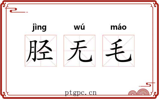 胫无毛