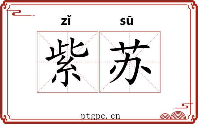 紫苏 紫苏