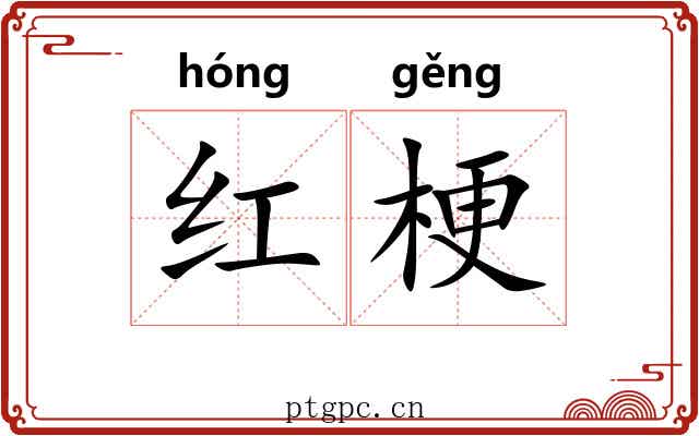 红梗 红梗