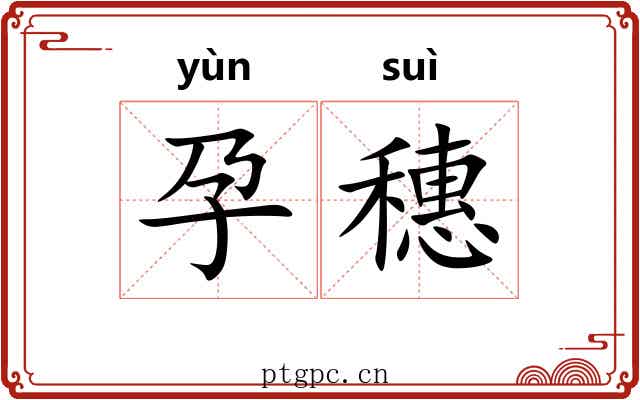 孕穗
