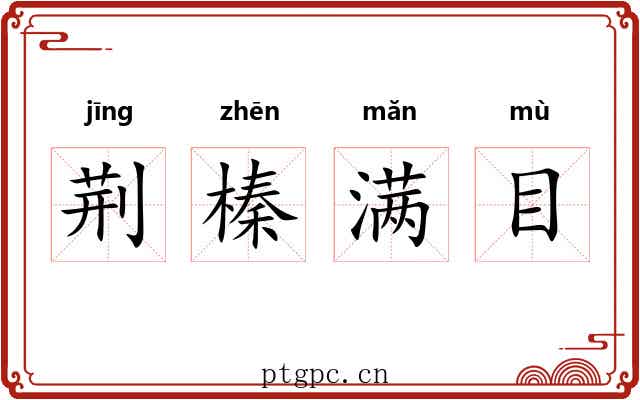 荆榛满目 荆榛满目